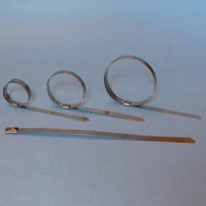 Stainless Steel Firesleeve Clamps